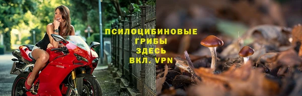 СК Елизово