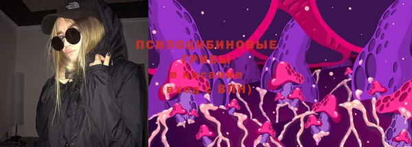 СК Елизово