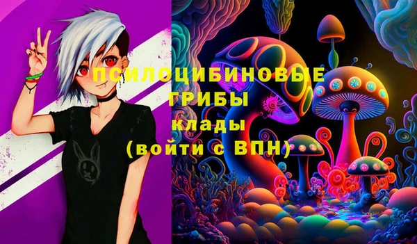 альфа пвп Дмитровск