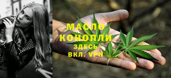 СК Елизово