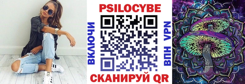 Псилоцибиновые грибы Psilocybe Калачинск